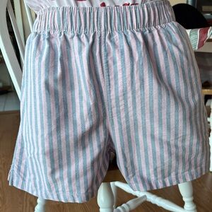 Striped Pink and Blue Women's Shorts